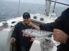 DSC03663.jpg